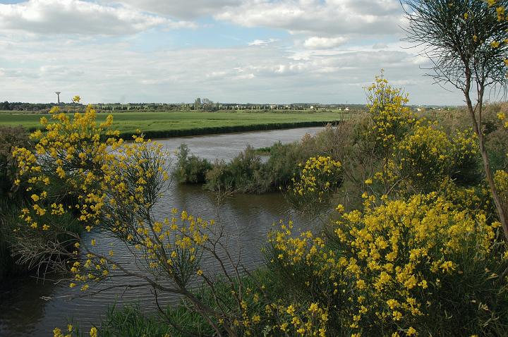 camargue (14)